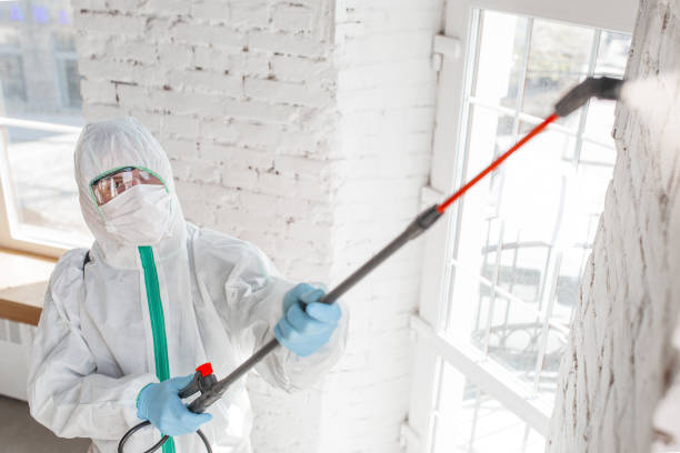 Best Emergency Mold Remediation  in Juneau, AK