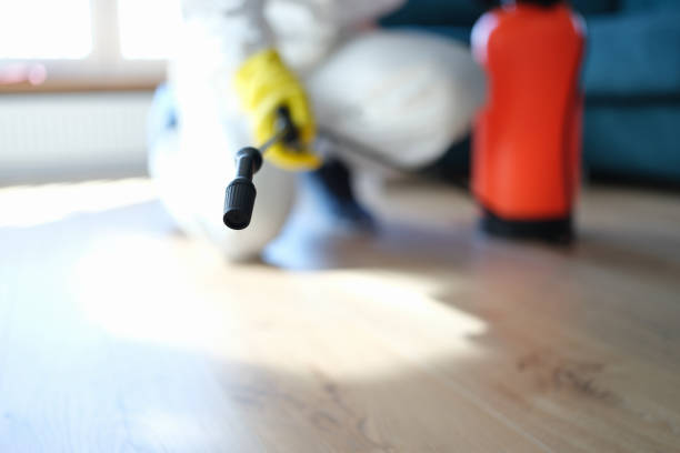 Best Mold Prevention Services  in Juneau, AK