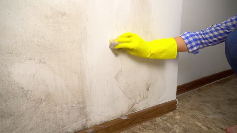 Best Airborne Mold Testing  in Juneau, AK