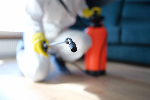 Best Comprehensive Air Testing for Mold Contaminants  in Juneau, AK