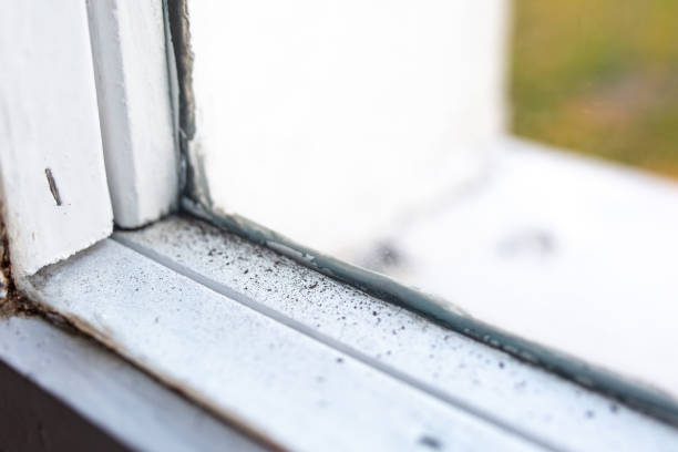 Best HVAC Mold Inspection and Cleaning  in Juneau, AK