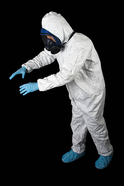 Professional Mold Removal in Juneau, AK