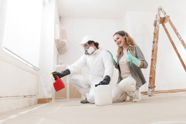 Best Mold Damage Restoration  in Juneau, AK